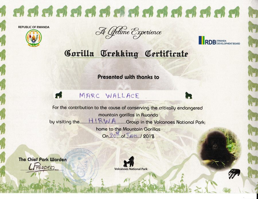 Marc's Trekking Certificate; Gini received one, too. Volcanoes National Park headquarters, Kinigi