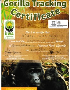 Marc's second Trekking Certificate, Bwindi Impenetrable National Park