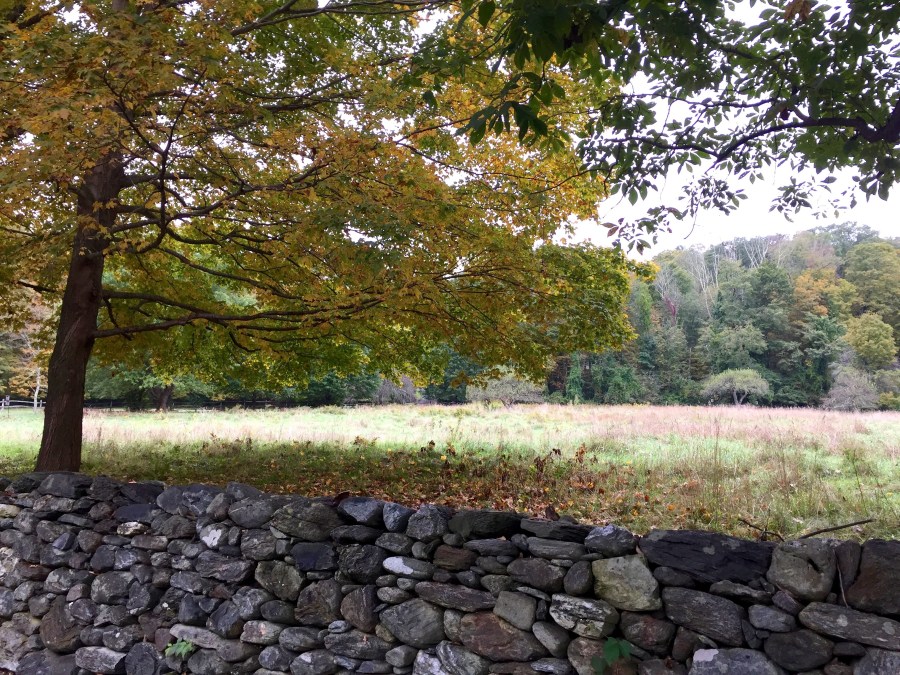 Salisbury CT, Saturday, Oct. 6 2018