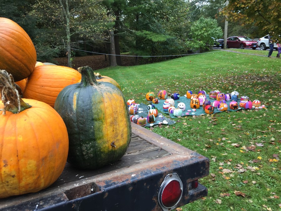 Pumpkin decorating, Fall Festival, Salisbury CT, Oct. 6, 2018