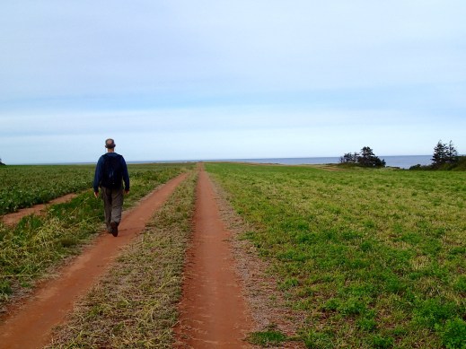 Heading for the beach, Beach House Inn by the Sea, French River, PEI, Tuesday 9/10/19