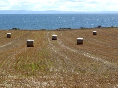 Shore Road near Little Sands, PEI, Friday, September 13, 2019
