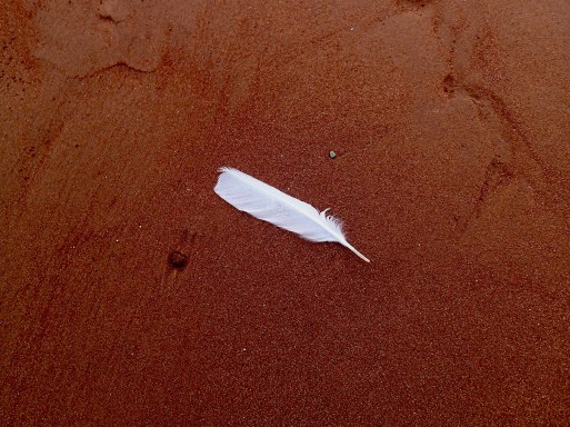 Beach at French River, PEI, Tuesday, September 10, 2019
