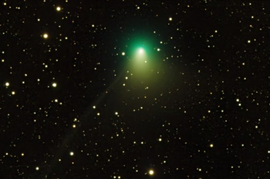 Comet 2022 E3 ZTF viewed through iTelescope, Mayhill, NM, Dec 31, 2022 / Eliot Herman, EarthSky / Click to learn more.
