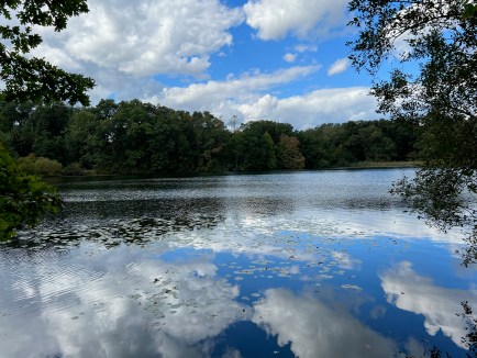 Swan Lake, Rockefeller State Park Preserve, Pleasantville NY, October 10, 2023