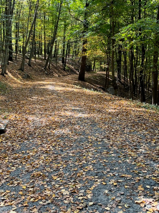 Ridge Trail, Rockefeller State Park Preserve, Pleasantville NY, October 10, 2023