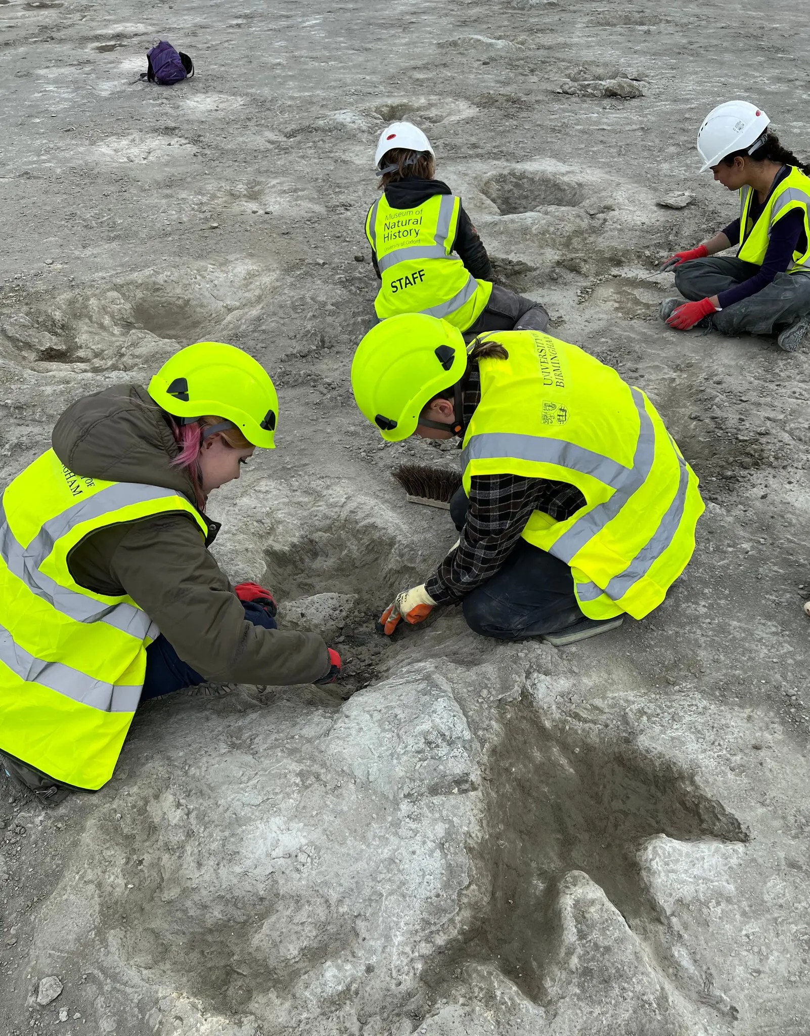 Excavation team next to megalosaurus print (lower right), June 2024, Oxfordshire, England / Emma Nicholls, Oxford University of Natural History, Agence France-Presse, The New York Times / Click for more.