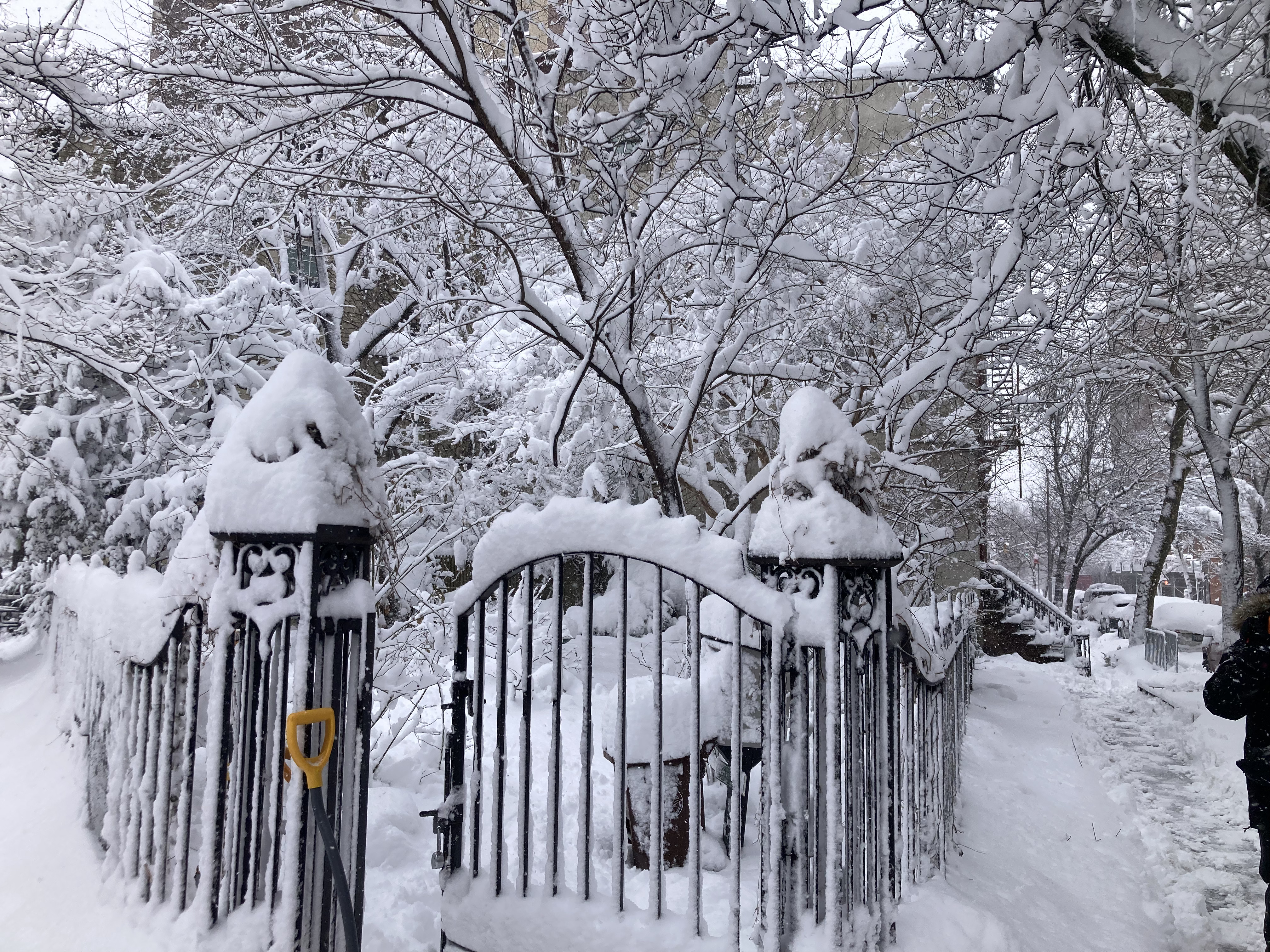 Jane Street Garden, Greenwich Village, NYC, 12:52 p.m.Monday February 23, 2026 / Marc Wallace
