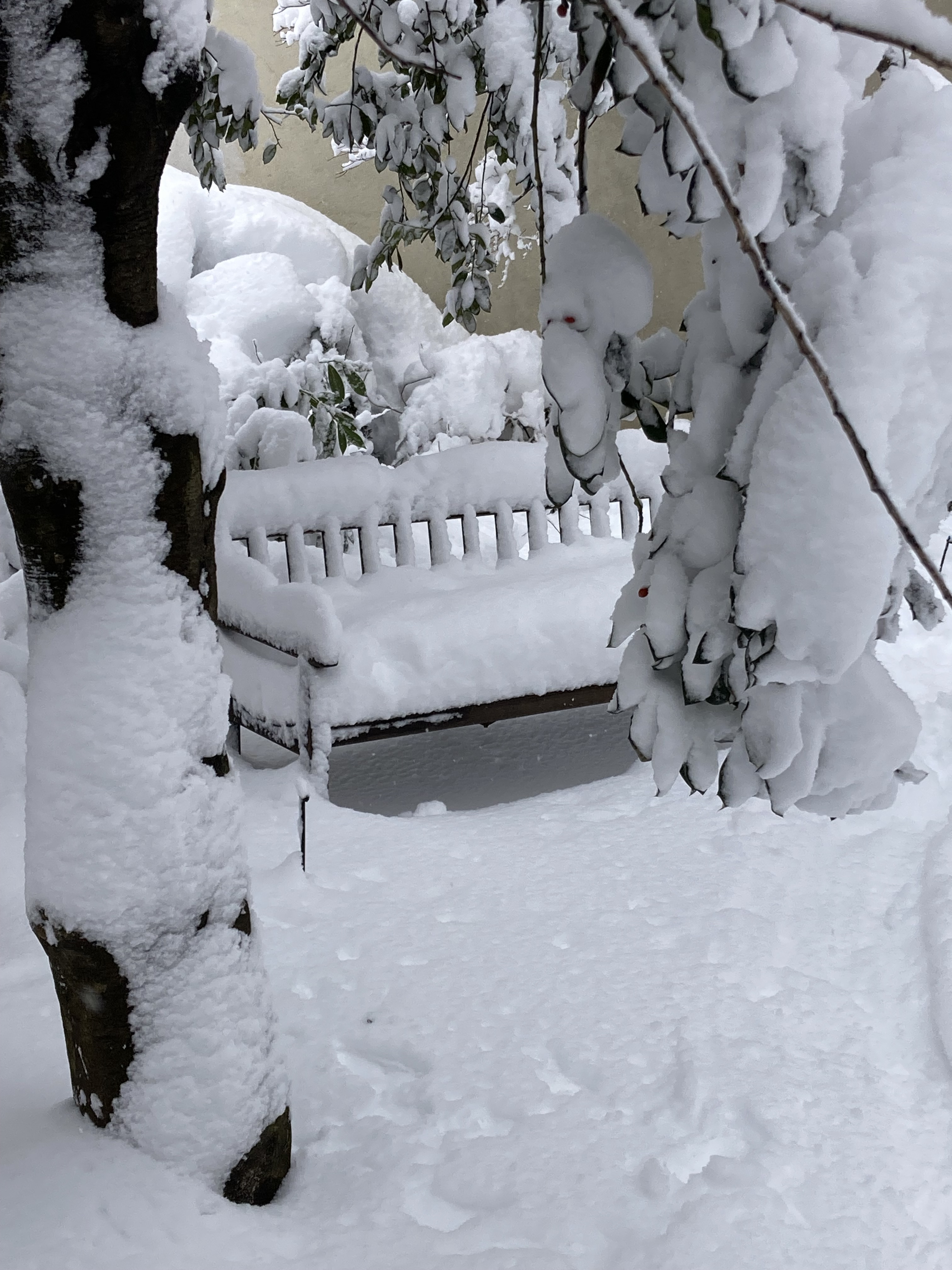 Jane Street Garden, Greenwich Village NYC, 1:31 p.m., Monday, February 23, 2026 / Marc Wallace