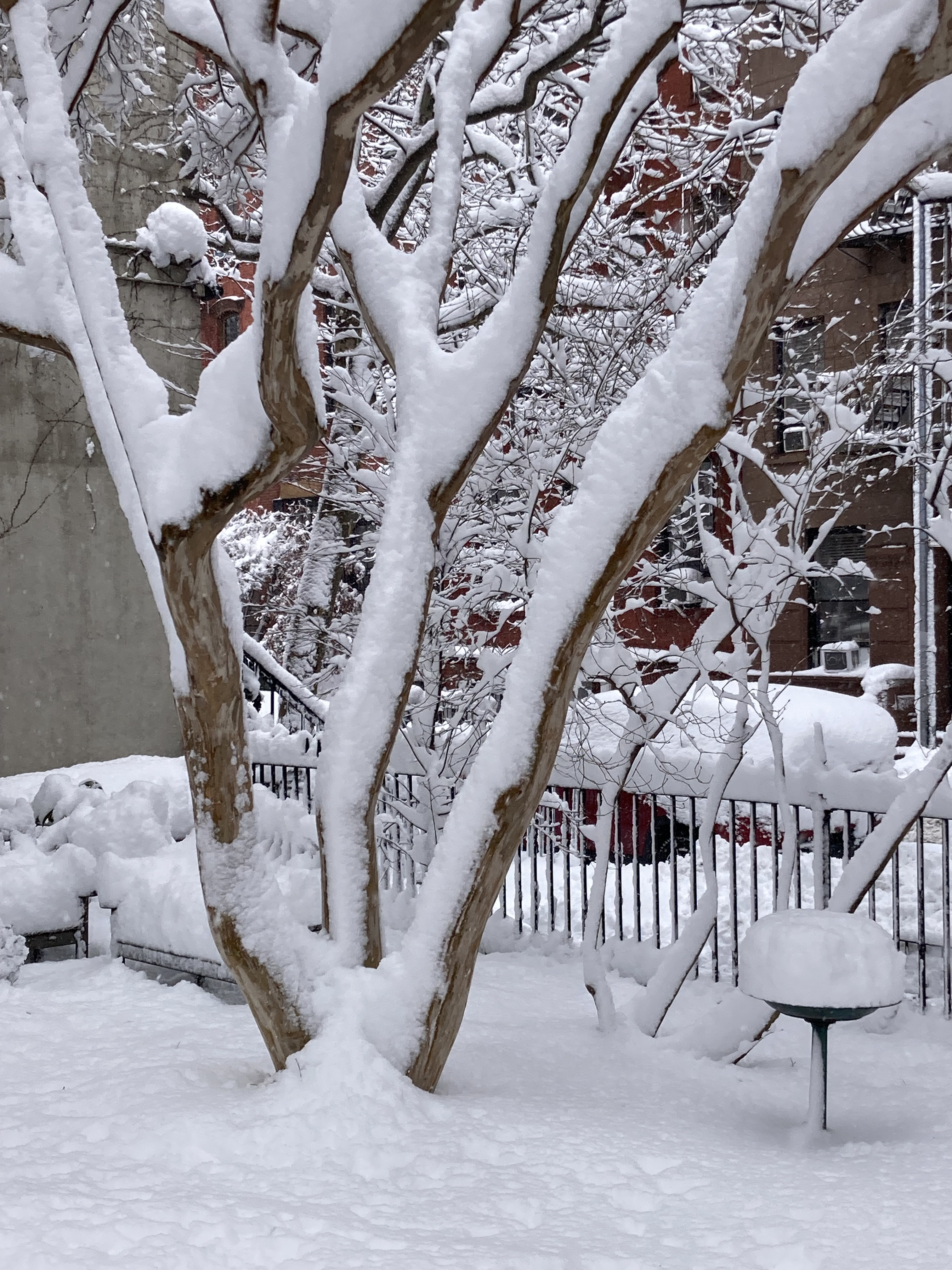 Jane Street Garden, Greenwich Village NYC, 1:32 p.m., Monday, February 23, 2026 / Marc Wallace