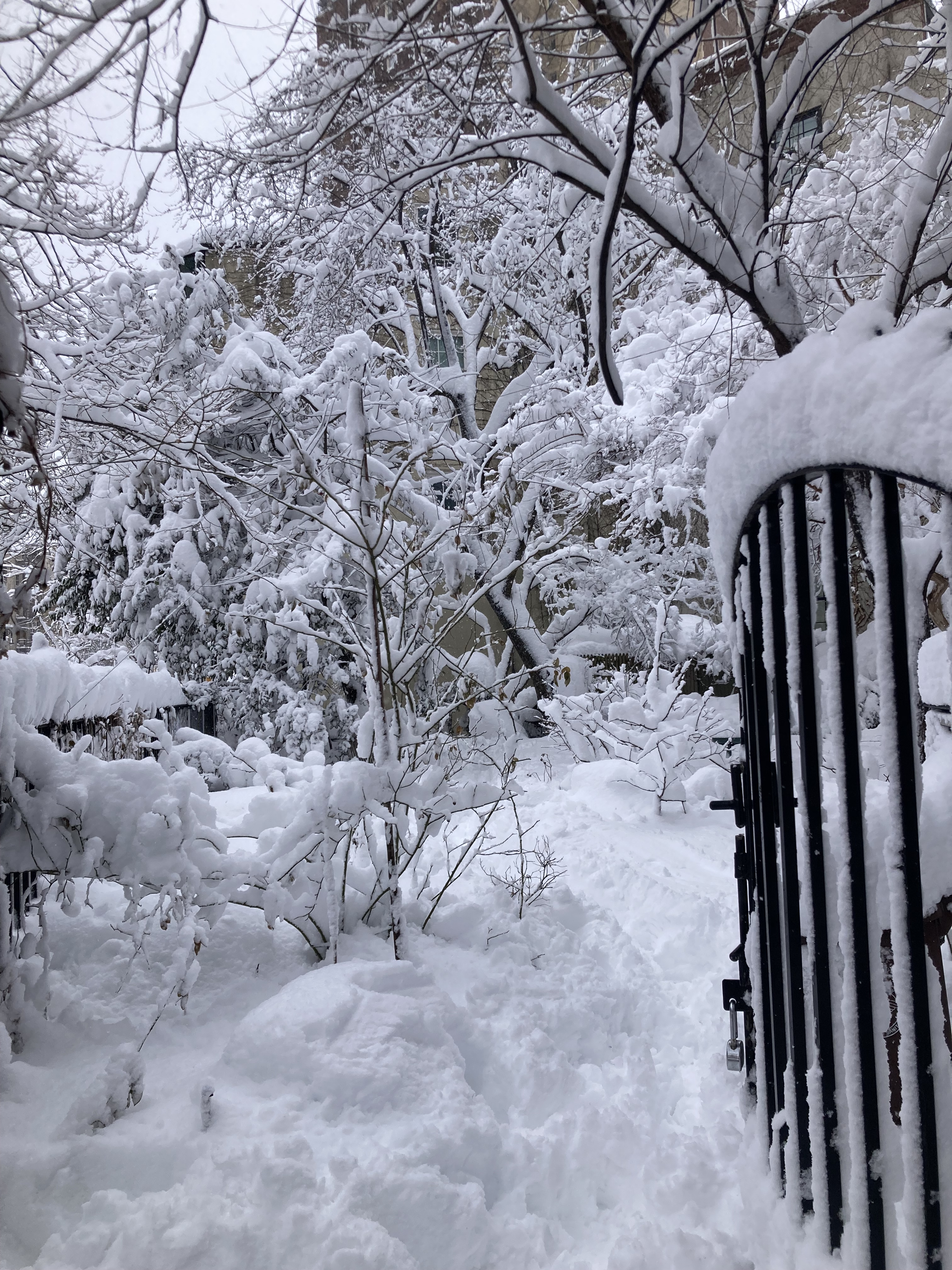 Jane Street Garden, Greenwich Village NYC, 1:51 p.m. Monday, February 23, 2026 / Marc Wallace