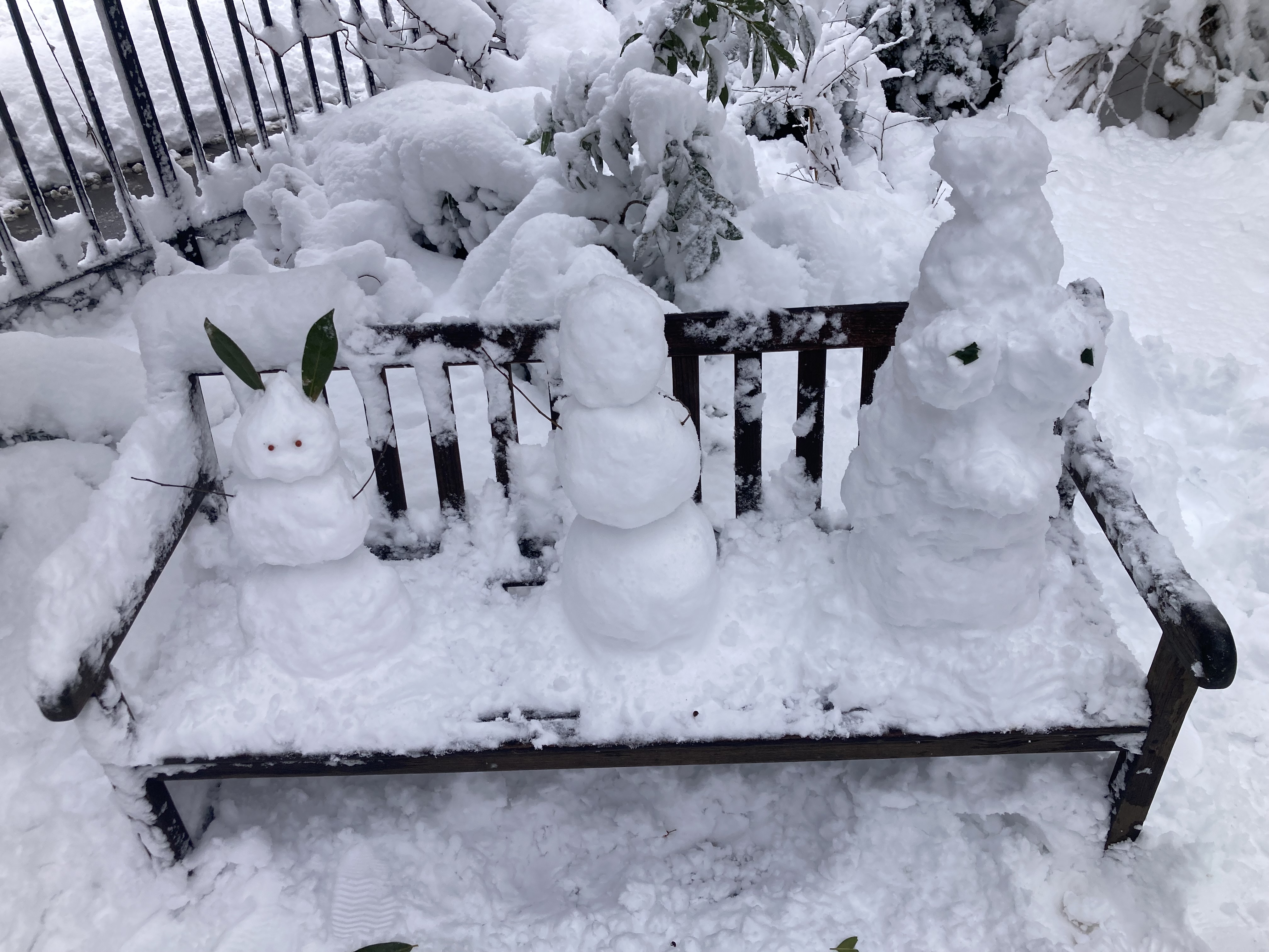 Jane Street Garden, Greenwich Village NYC, 2:08 p.m., Monday, February 23, 2026 / Marc Wallace