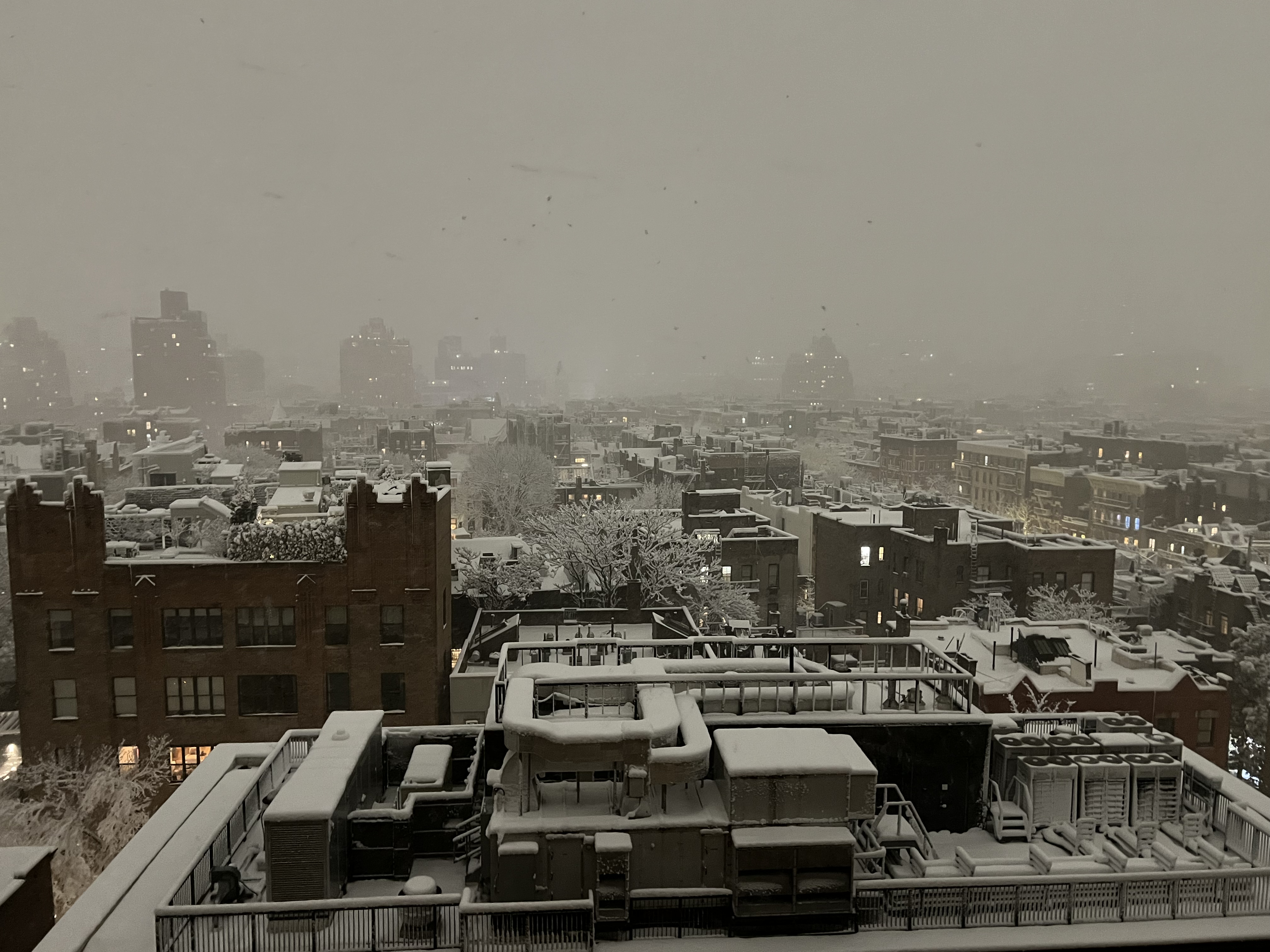 View south from our 13th (called 14th) floor window, Greenwich Village NYC, 10:30 a.m. Sunday, February 22, 2026 / Gini Kopecky Wallace