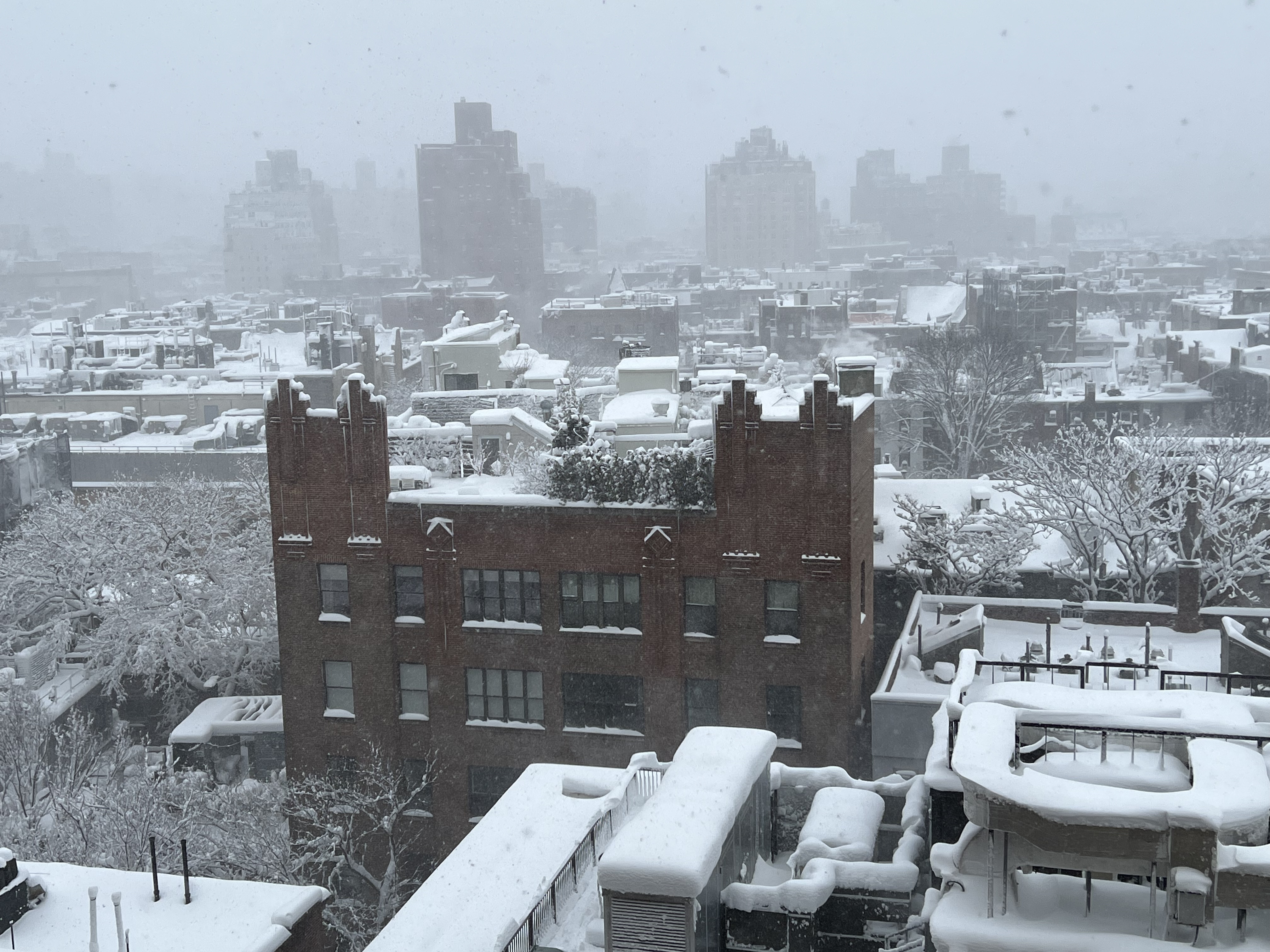 View south from our 13th (called 14th) floor window, Greenwich Village NYC, 11:18 a.m. Monday, February 23, 2026 / Gini Kopecky Wallace