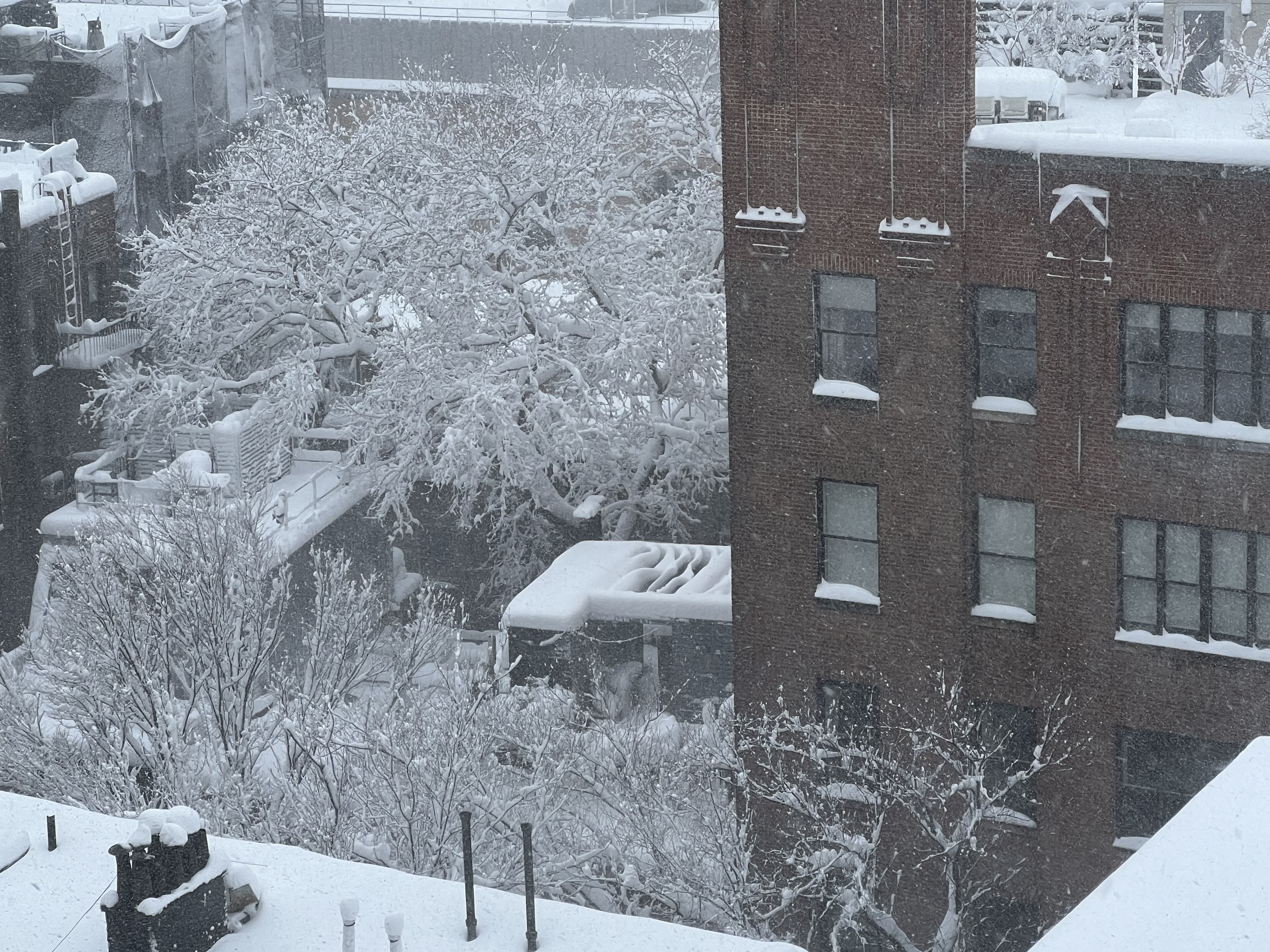 View south from our 13th (called 14th) floor window, Greenwich Village NYC, 11:19 a.m. Monday, February 23, 2026 / Gini Kopecky Wallace