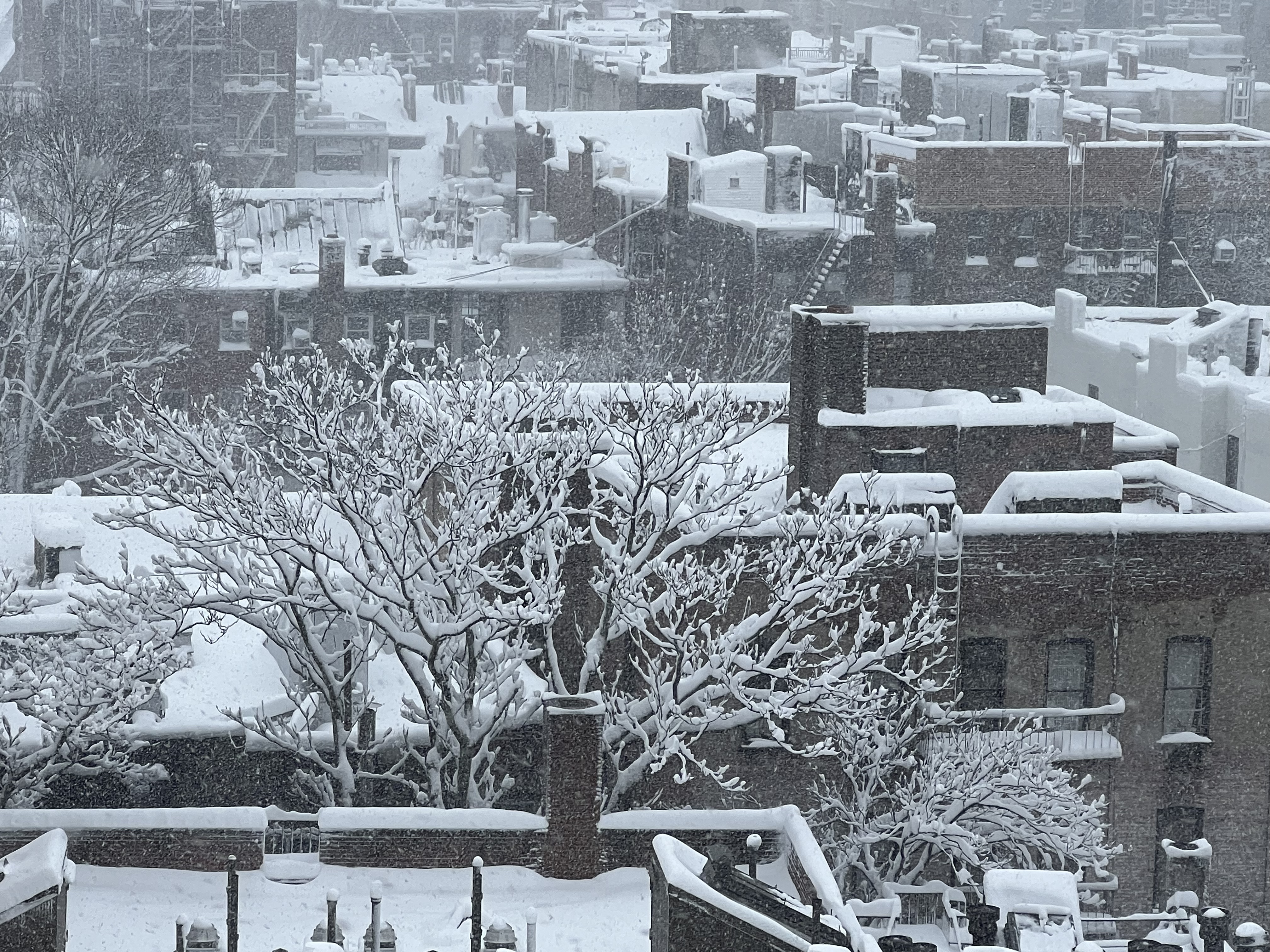 View south from our 13th (called 14th) floor window, Greenwich Village NYC, 11:20 a.m. Monday, February 23, 2026 / Gini Kopecky Wallace