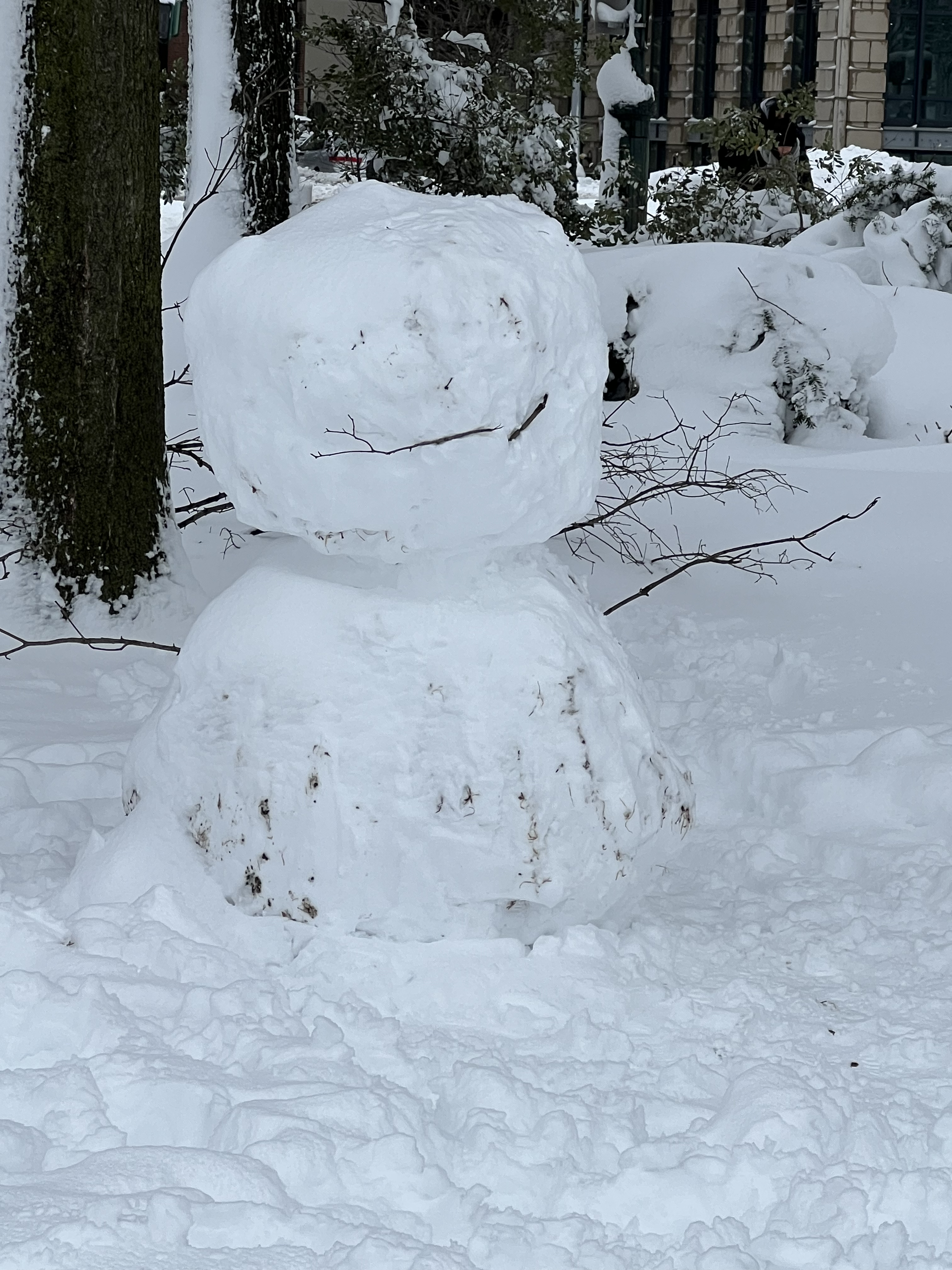 Hudson River Park, Greenwich Village NYC, 2:43 p.m., Monday, February 23, 2026 / Gini Kopecky Wallace